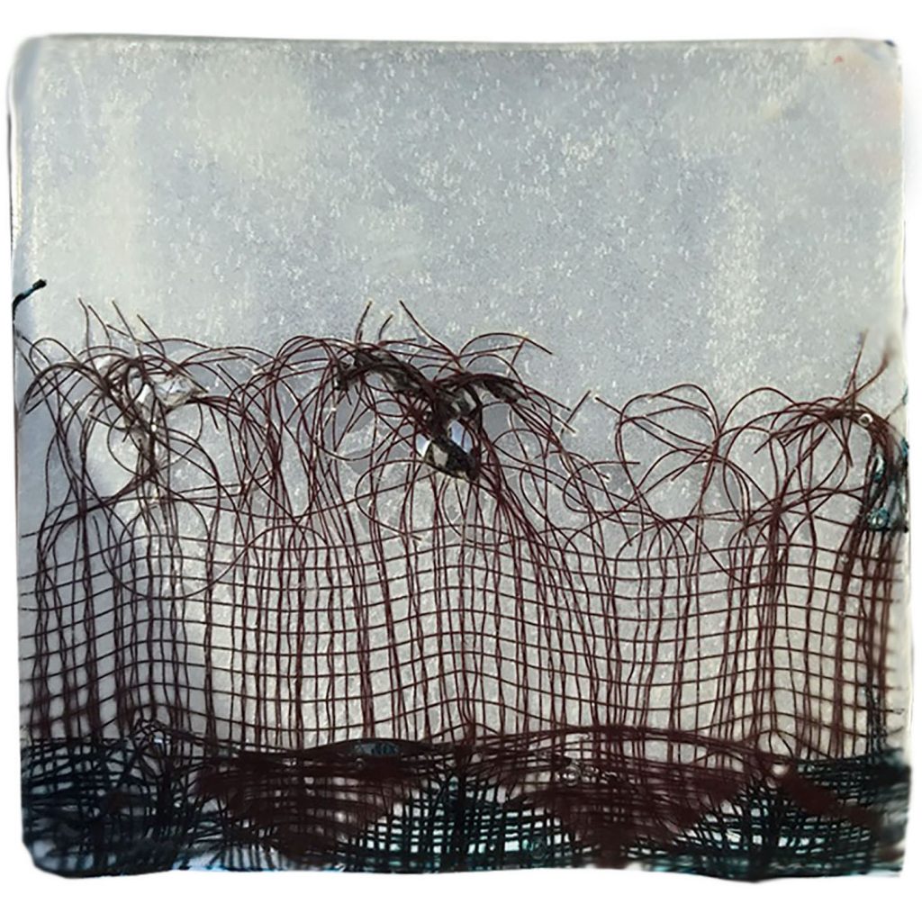 Peter Dammand