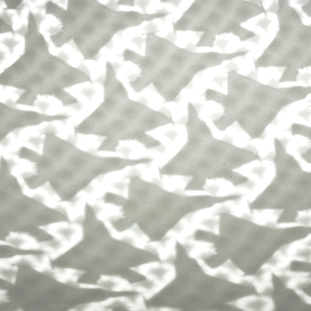 Peter Moell Damman White Bomber 2 Detail A